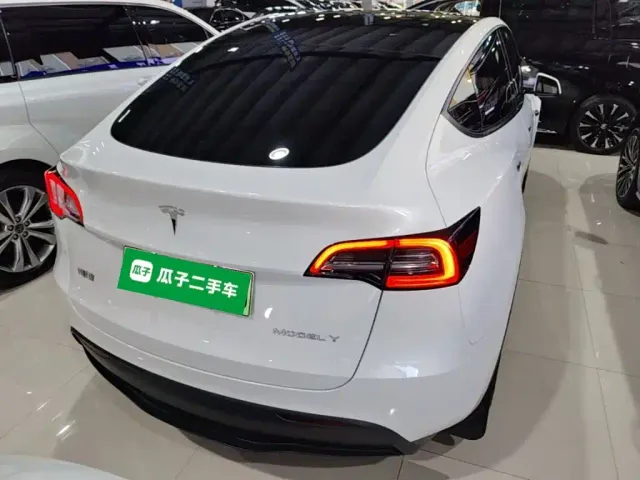 Tesla Model Y — Фото автомобиля 3