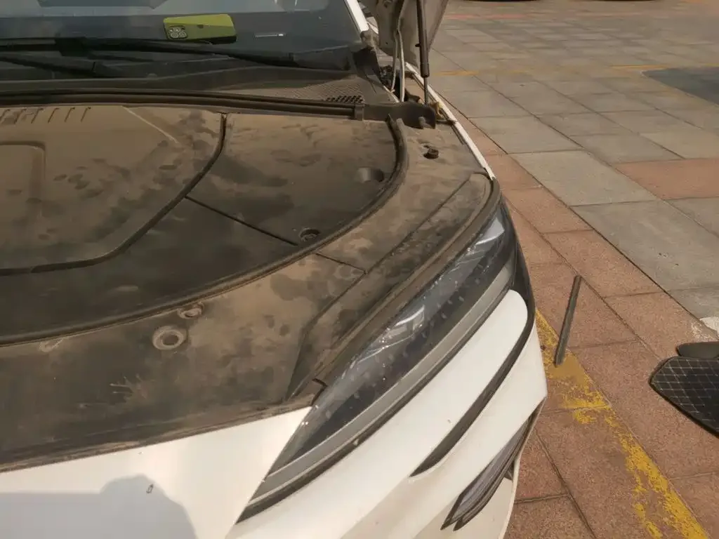 BYD Song PLUS PHEV 2023 Champion Edition EV 520KM Flagship — Фото автомобиля 20