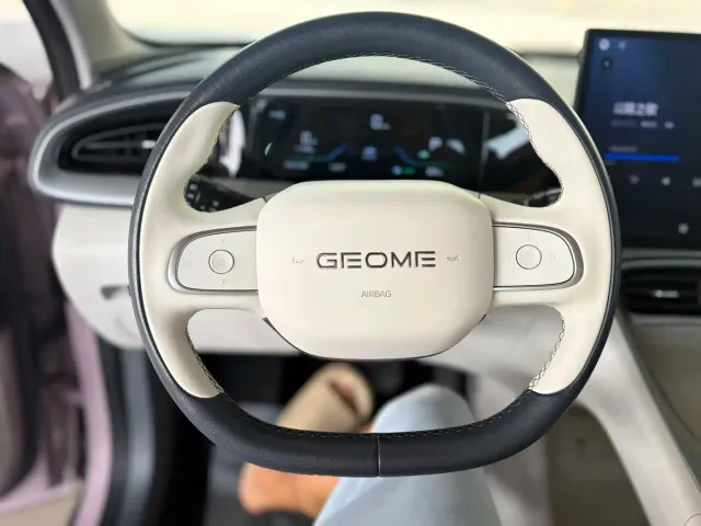 Geely Starry Wish — Фото автомобиля 12