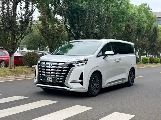 Фотография автомобиля — Denza D9