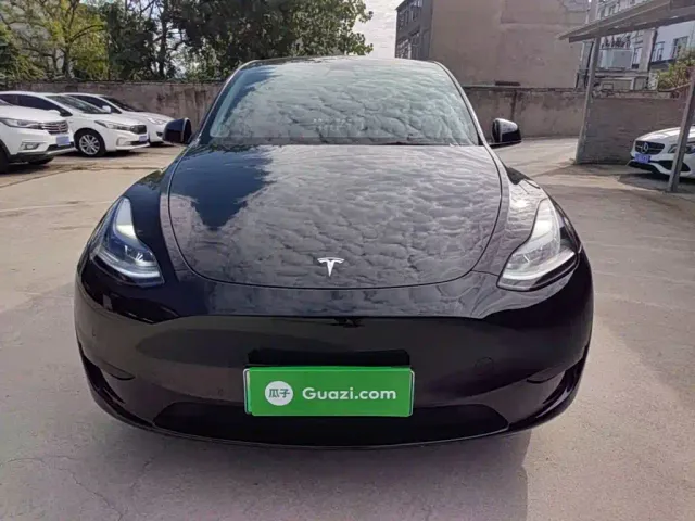 Tesla Model Y — Фото автомобиля 2