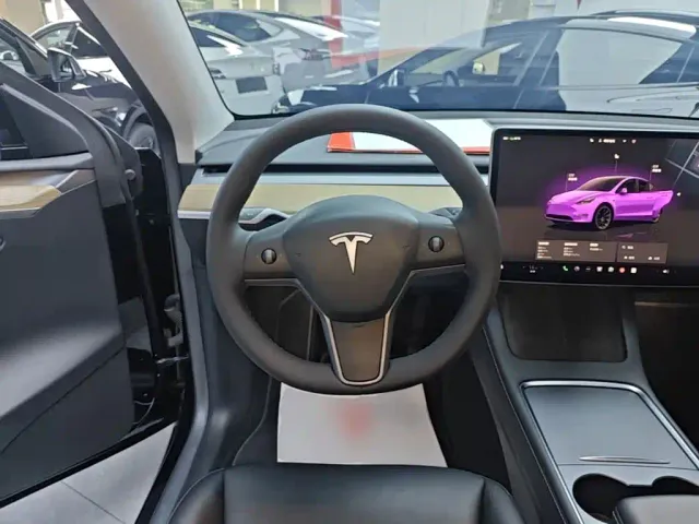 Tesla Model Y — Фото автомобиля 10