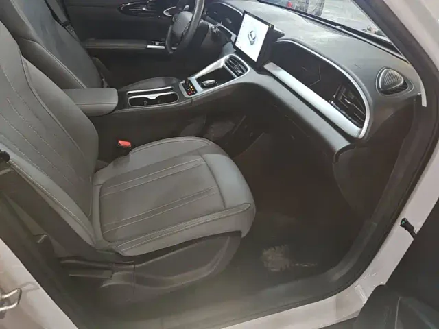Geely Starry Wish — Фото автомобиля 24