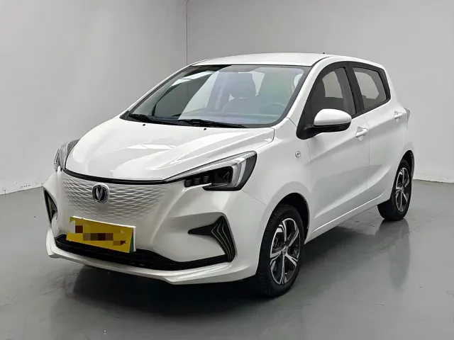 Фотография автомобиля — Changan Benben E-Star