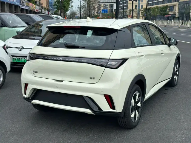 BYD Dolphin — Фото автомобиля 4
