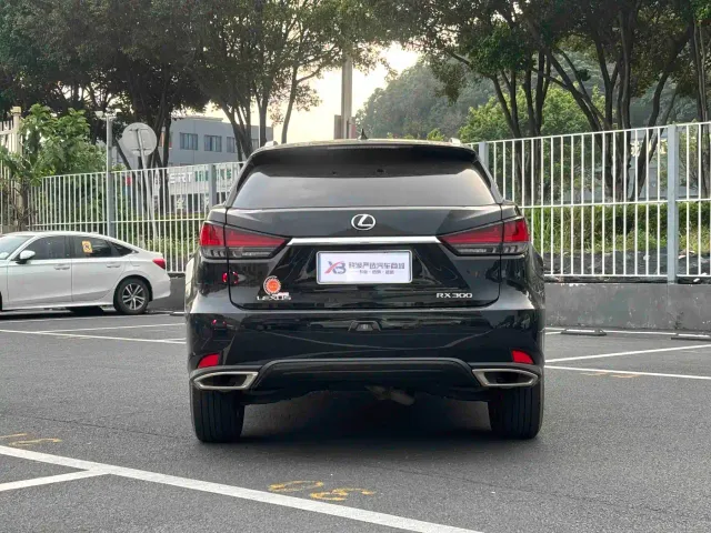 Lexus RX — Фото автомобиля 6