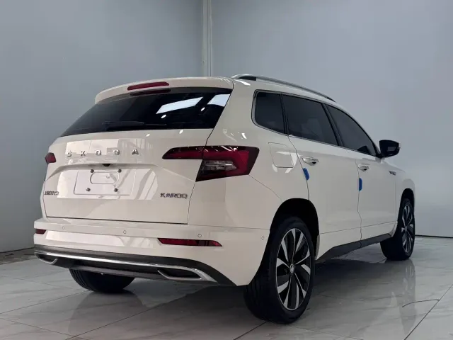 Skoda Karoq — Фото автомобиля 6