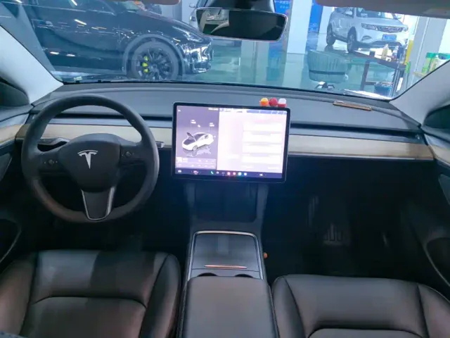 Tesla Model 3 — Фото автомобиля 9