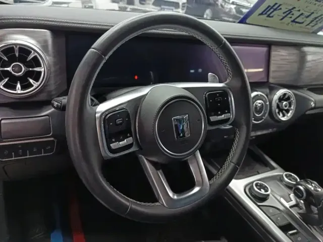 Tank Tank 300 2024 Model 2.0T Challenger — Фото автомобиля 15