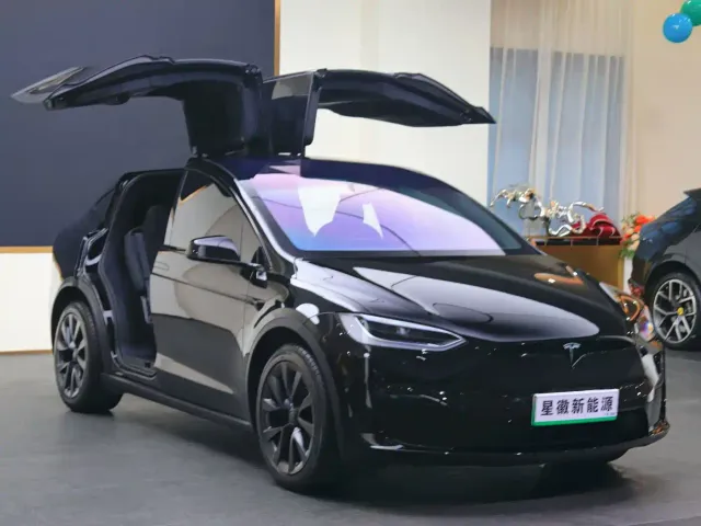 Tesla Model X — Фото автомобиля 3