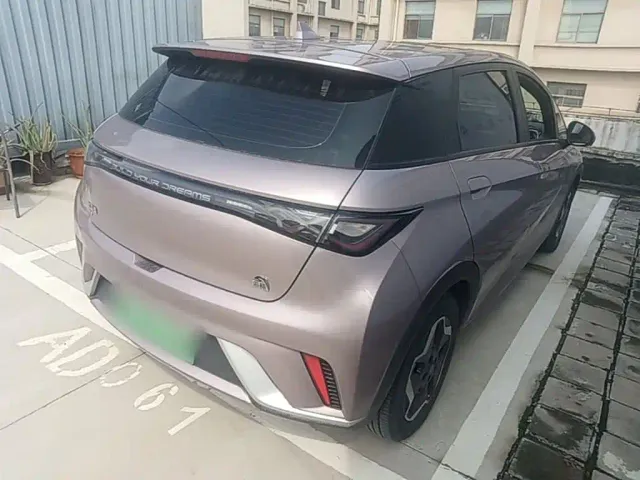 BYD Dolphin — Фото автомобиля 6