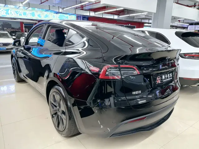 Tesla Model Y — Фото автомобиля 4