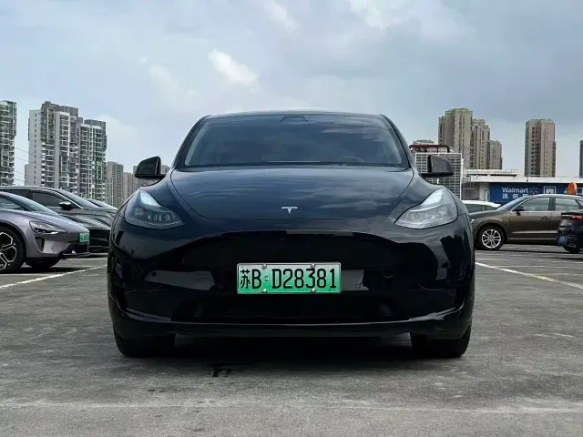 Tesla Model Y — Фото автомобиля 2