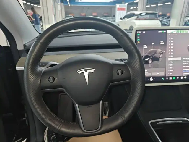 Tesla Model Y — Фото автомобиля 10