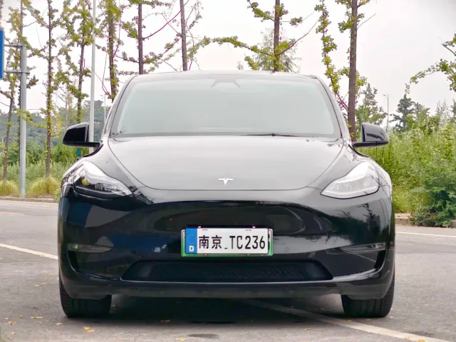 Tesla Model Y — Фото автомобиля 2