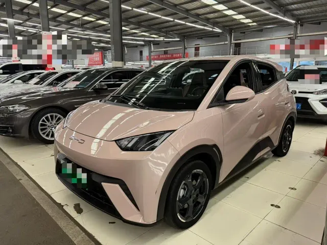 Фотография автомобиля — BYD Seagull