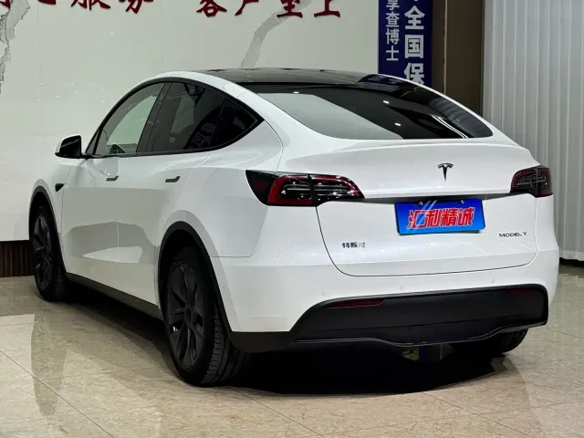 Tesla Model Y — Фото автомобиля 4