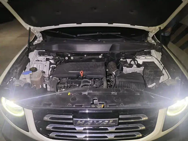Haval Haval Big Dog 2021 1.5T DCT 2WD Labrador Edition — Фото автомобиля 3