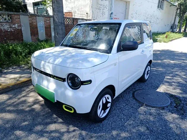 Фотография автомобиля — Geely Panda