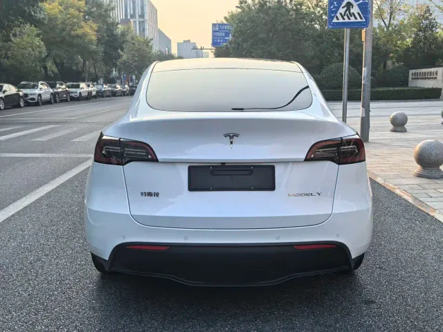 Tesla Model Y — Фото автомобиля 4
