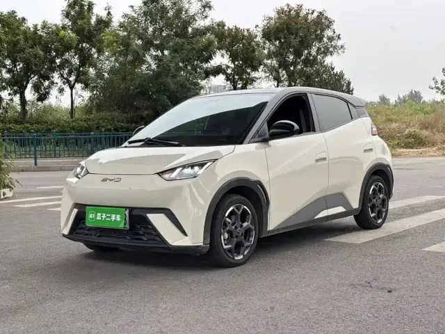 Фотография автомобиля — BYD Seagull