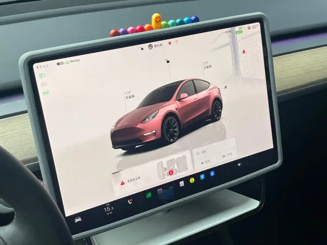 Tesla Model Y — Фото автомобиля 21