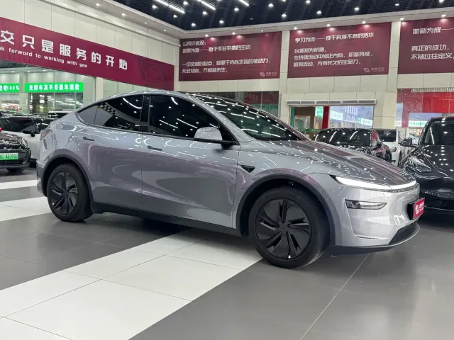 Tesla Model Y — Фото автомобиля 3