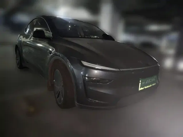 Tesla Model Y — Фото автомобиля 24