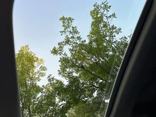 Audi Q3 Sportback — Фото автомобиля 11