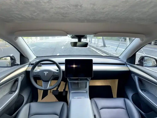 Tesla Model Y — Фото автомобиля 6