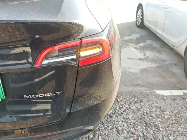 Tesla Model Y — Фото автомобиля 7