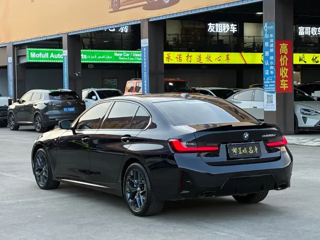 BMW 3 Series — Фото автомобиля 20
