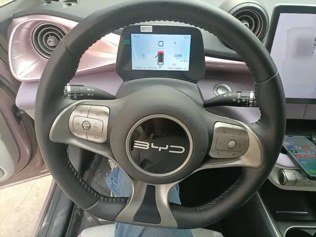 BYD Dolphin — Фото автомобиля 10