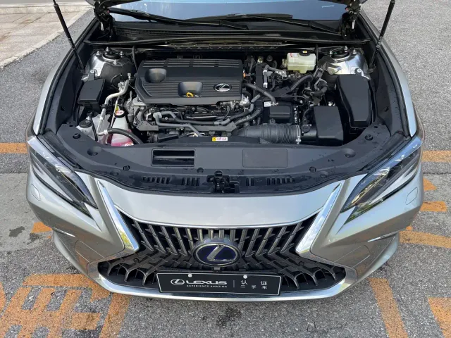 Lexus Lexus ES 2021 300h Luxury Edition — Фото автомобиля 7