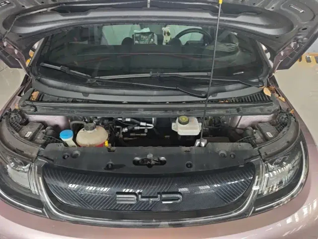 BYD Dolphin — Фото автомобиля 19