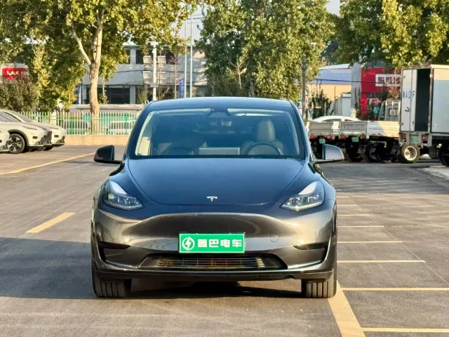 Tesla Model Y — Фото автомобиля 2