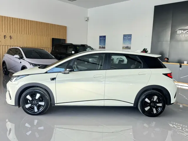 BYD Dolphin — Фото автомобиля 3