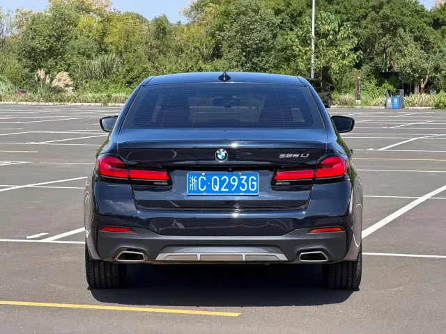 BMW 5 Series — Фото автомобиля 11