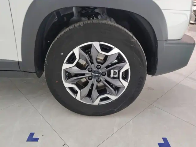 Haval Big Dog — Фото автомобиля 6
