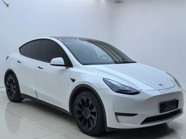Tesla Model Y — Фото автомобиля 3