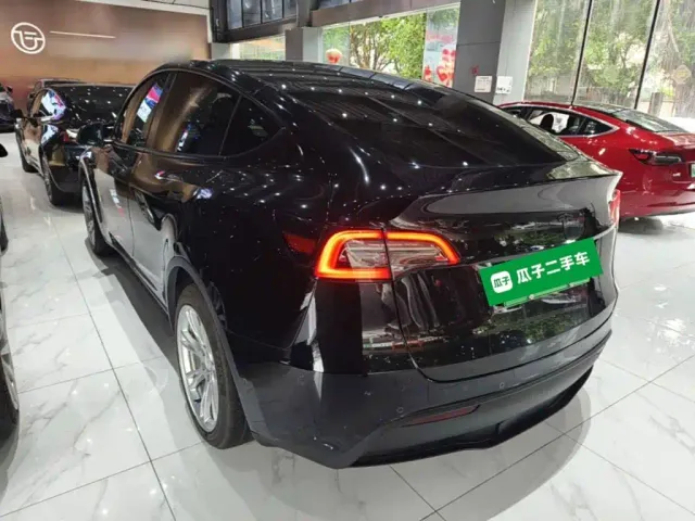 Tesla Model Y — Фото автомобиля 4