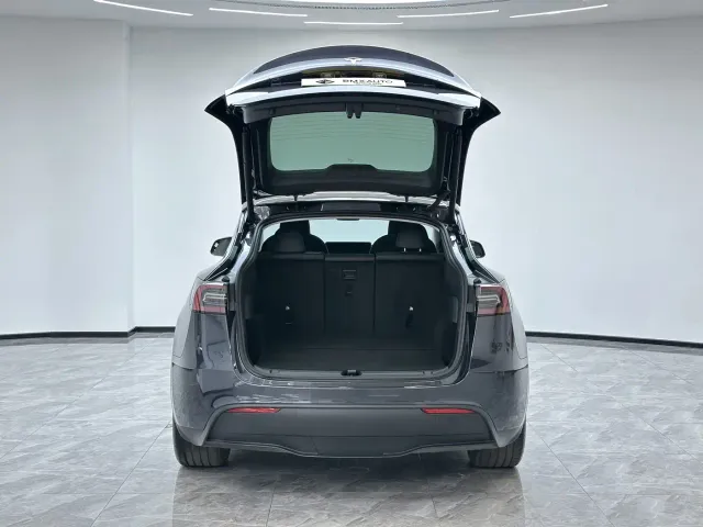 Tesla Model Y — Фото автомобиля 4