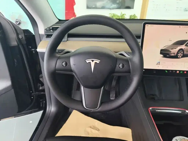 Tesla Model Y — Фото автомобиля 10