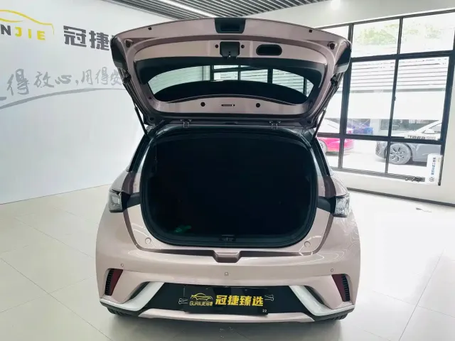 BYD Dolphin — Фото автомобиля 13