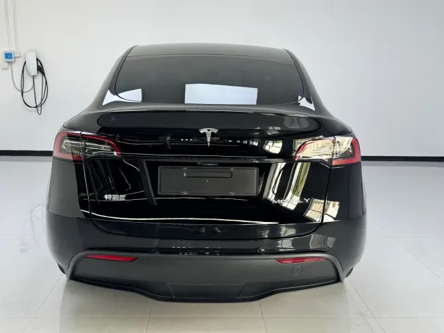 Tesla Model Y — Фото автомобиля 5