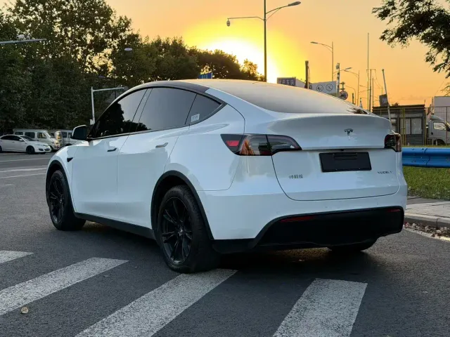 Tesla Model Y — Фото автомобиля 4