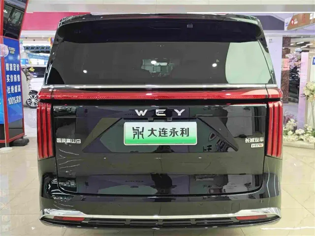 Wey Alpine — Фото автомобиля 16