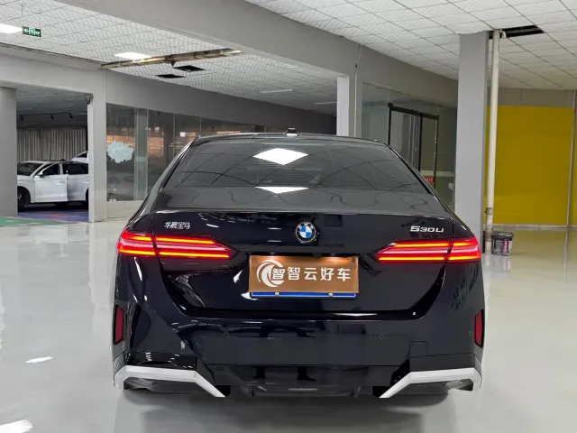 BMW 5 Series — Фото автомобиля 8