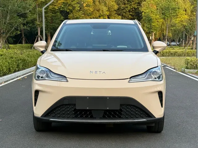 Hozon Neta Aya — Фото автомобиля 2