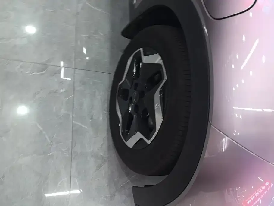 BYD Dolphin 2021 Model 405km Fashion Edition — Фото автомобиля 6